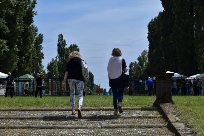 Il Viale e la Villa
